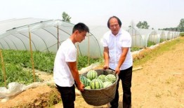 新瓜最新爆料90后,揭秘新一代年轻人的生活与挑战